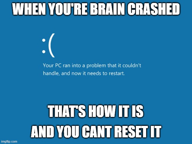 Windows Error | WHEN YOU'RE BRAIN CRASHED; THAT'S HOW IT IS; AND YOU CANT RESET IT | image tagged in windows error | made w/ Imgflip meme maker