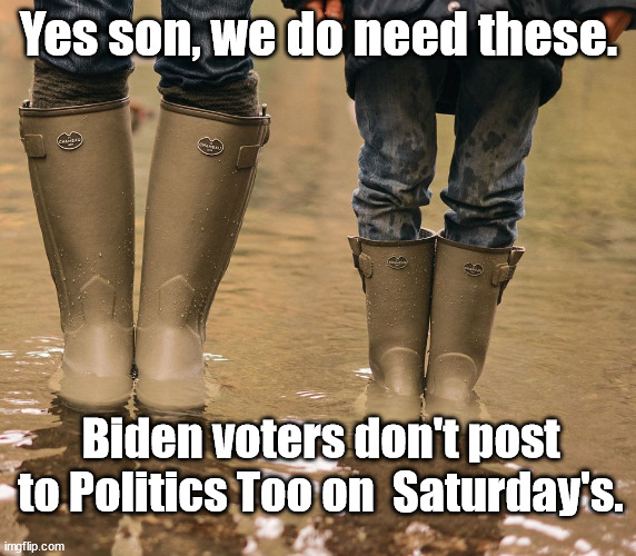 Sure seems like it.... | Yes son, we do need these. Biden voters don't post to Politics Too on  Saturday's. | image tagged in imgflip users,politics too | made w/ Imgflip meme maker