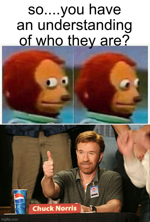 so....you have an understanding of who they are? | image tagged in memes,monkey puppet,chuck norris approves | made w/ Imgflip meme maker