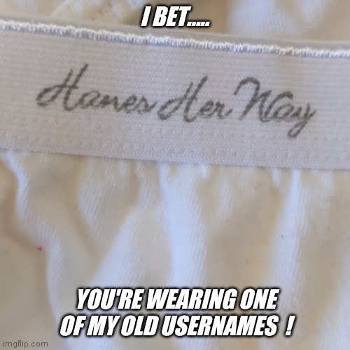Are you wearing your hanes her way  ? | I BET..... YOU'RE WEARING ONE OF MY OLD USERNAMES  ! | image tagged in hanes her way | made w/ Imgflip meme maker
