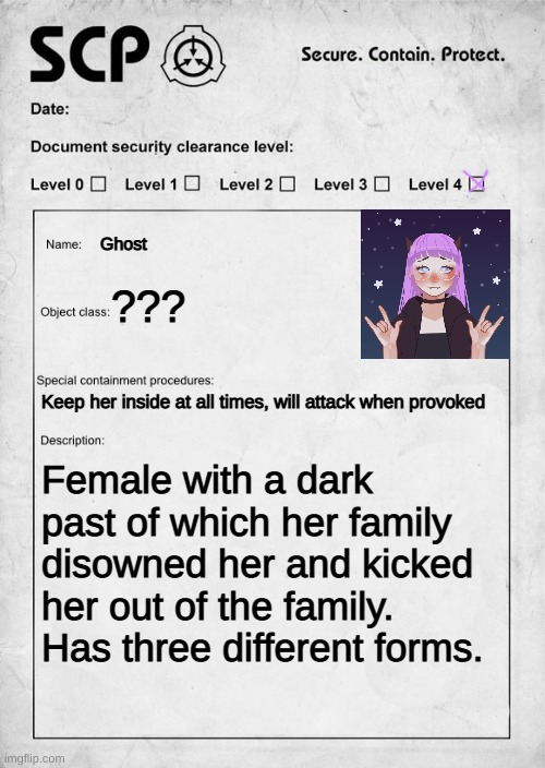 (not my art btw) | Ghost; ??? Keep her inside at all times, will attack when provoked; Female with a dark past of which her family disowned her and kicked her out of the family. Has three different forms. | image tagged in scp document | made w/ Imgflip meme maker