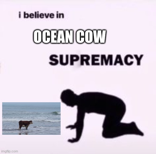 i posted this on politics | OCEAN COW | image tagged in i believe in supremacy | made w/ Imgflip meme maker