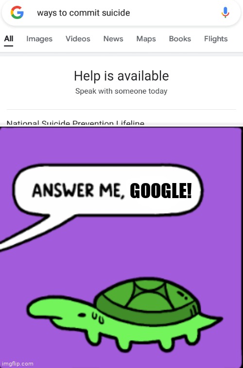 ._. | GOOGLE! | image tagged in answer me turtle | made w/ Imgflip meme maker
