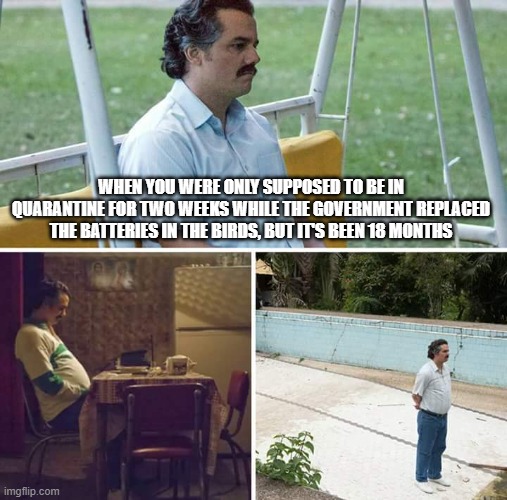 It's Been Too Long | WHEN YOU WERE ONLY SUPPOSED TO BE IN QUARANTINE FOR TWO WEEKS WHILE THE GOVERNMENT REPLACED THE BATTERIES IN THE BIRDS, BUT IT'S BEEN 18 MONTHS | image tagged in memes,sad pablo escobar,birds,quarantine | made w/ Imgflip meme maker