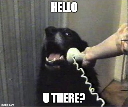 Yes this is dog | HELLO; U THERE? | image tagged in yes this is dog | made w/ Imgflip meme maker