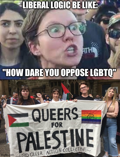 SJW Be Like | LIBERAL LOGIC BE LIKE:; "HOW DARE YOU OPPOSE LGBTQ" | image tagged in politics,republican,democrat,crying democrats,palestine,biden | made w/ Imgflip meme maker