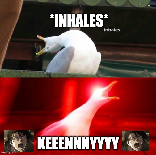 KEEENNNNYYY | *INHALES*; KEEENNNYYYY | image tagged in inhaling seagull,levi,kenny | made w/ Imgflip meme maker
