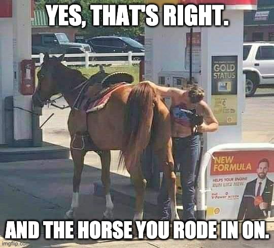 YES, THAT'S RIGHT. AND THE HORSE YOU RODE IN ON. | made w/ Imgflip meme maker
