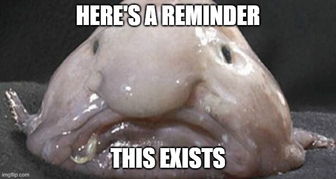 Blobfish | HERE'S A REMINDER; THIS EXISTS | image tagged in fish,animals,animal,blobfish | made w/ Imgflip meme maker