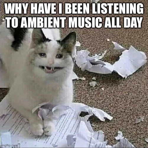 WHY HAVE I BEEN LISTENING TO AMBIENT MUSIC ALL DAY | made w/ Imgflip meme maker