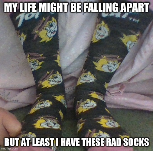 s o c k | MY LIFE MIGHT BE FALLING APART; BUT AT LEAST I HAVE THESE RAD SOCKS | made w/ Imgflip meme maker