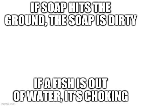 Blank White Template | IF SOAP HITS THE GROUND, THE SOAP IS DIRTY; IF A FISH IS OUT OF WATER, IT'S CHOKING | image tagged in blank white template | made w/ Imgflip meme maker
