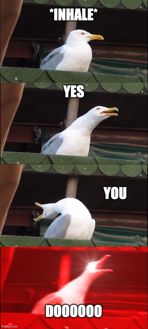 for a friend lol | *INHALE*; YES; YOU; DOOOOOO | image tagged in memes,inhaling seagull | made w/ Imgflip meme maker