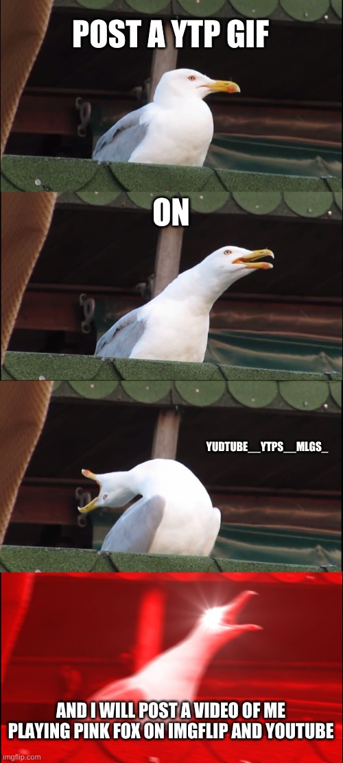 plz? | POST A YTP GIF; ON; YUDTUBE__YTPS__MLGS_; AND I WILL POST A VIDEO OF ME PLAYING PINK FOX ON IMGFLIP AND YOUTUBE | image tagged in memes,inhaling seagull | made w/ Imgflip meme maker
