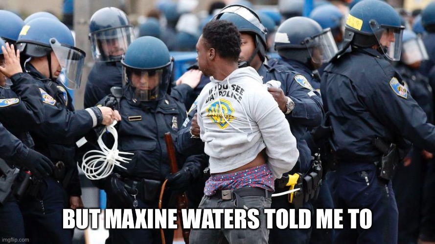 BUT MAXINE WATERS TOLD ME TO | made w/ Imgflip meme maker