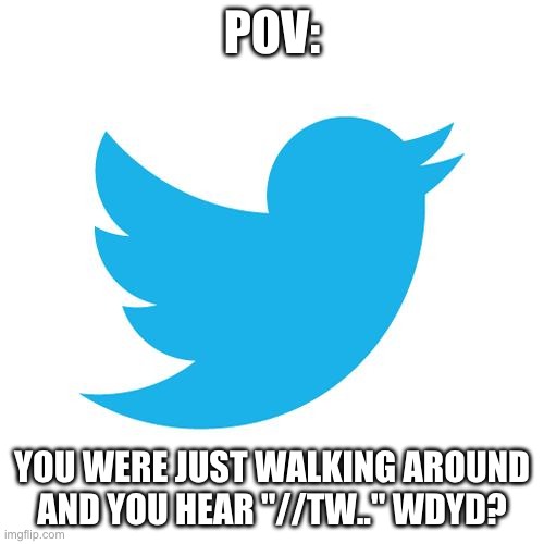 Twitter RP | POV:; YOU WERE JUST WALKING AROUND AND YOU HEAR "//TW.." WDYD? | image tagged in twitter birds says | made w/ Imgflip meme maker