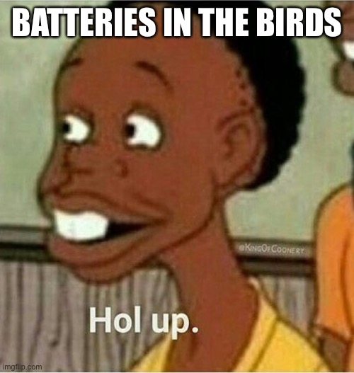 Are battery powered birds dark? | BATTERIES IN THE BIRDS | image tagged in hol up,birds,batteries | made w/ Imgflip meme maker