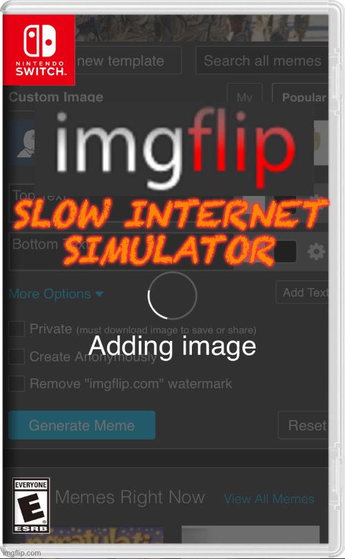 Why have issues loading a second image in real life when you can play the game? | SLOW INTERNET SIMULATOR | image tagged in slow,welcome to the internets,nintendo switch | made w/ Imgflip meme maker