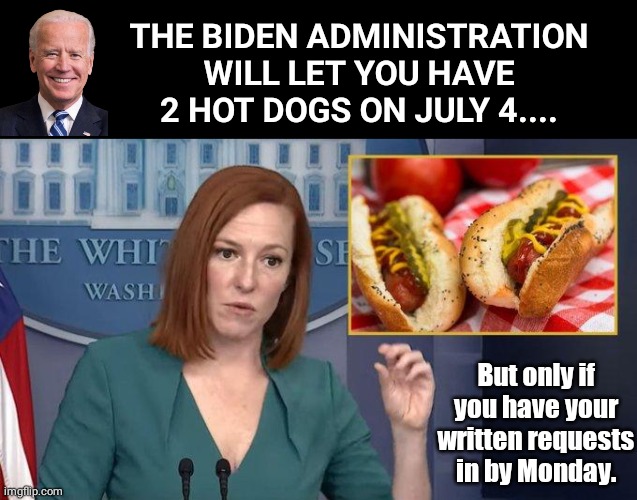 Blowhard Joe's Permission | THE BIDEN ADMINISTRATION WILL LET YOU HAVE 2 HOT DOGS ON JULY 4.... But only if you have your written requests in by Monday. | image tagged in black box | made w/ Imgflip meme maker