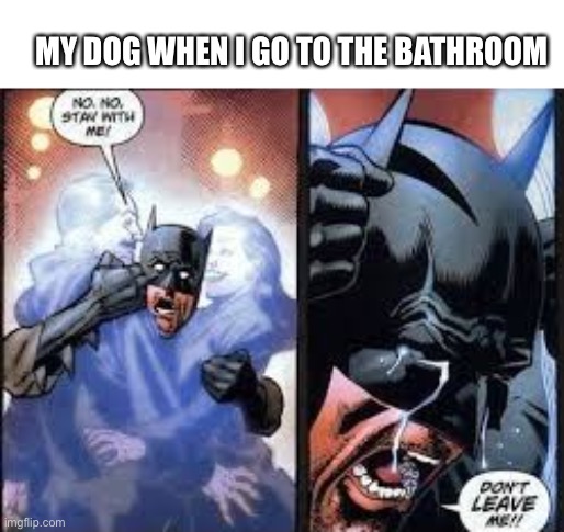 No no stay with me |  MY DOG WHEN I GO TO THE BATHROOM | image tagged in no no stay with me | made w/ Imgflip meme maker