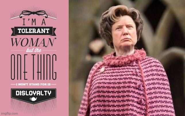 image tagged in tolerance,loyalty,dolores umbridge,donald trump | made w/ Imgflip meme maker