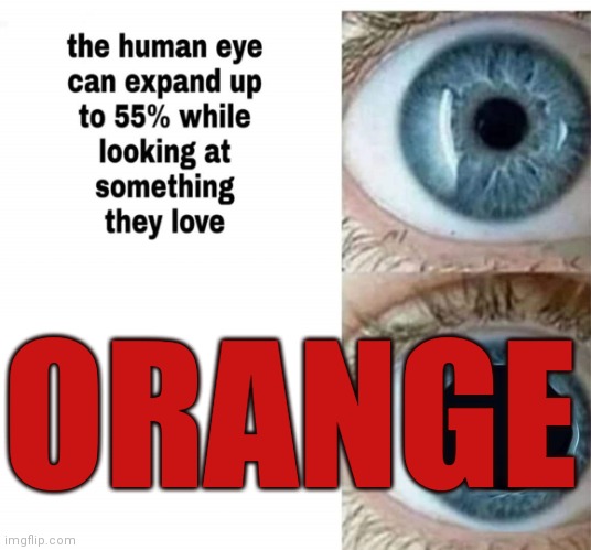 Human eye | ORANGE | image tagged in human eye | made w/ Imgflip meme maker
