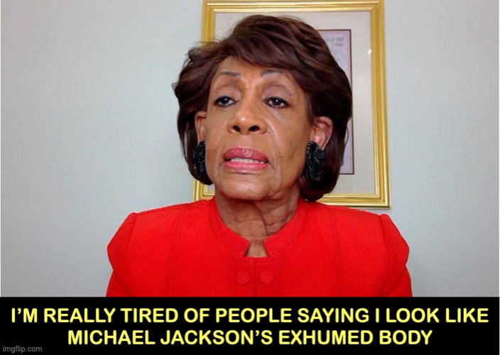 Maxine or Michael? | image tagged in maxine waters | made w/ Imgflip meme maker