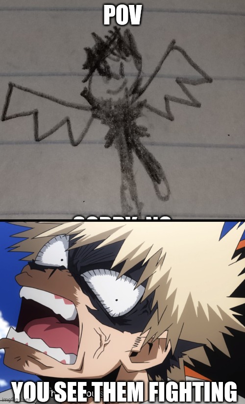 Why am I always fighting things- -Blaze | POV; YOU SEE THEM FIGHTING | image tagged in bakugo's what did you say | made w/ Imgflip meme maker