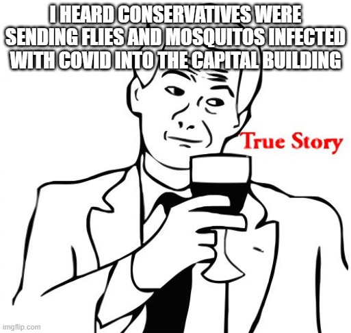 True Story Meme | I HEARD CONSERVATIVES WERE SENDING FLIES AND MOSQUITOS INFECTED WITH COVID INTO THE CAPITAL BUILDING | image tagged in memes,true story | made w/ Imgflip meme maker