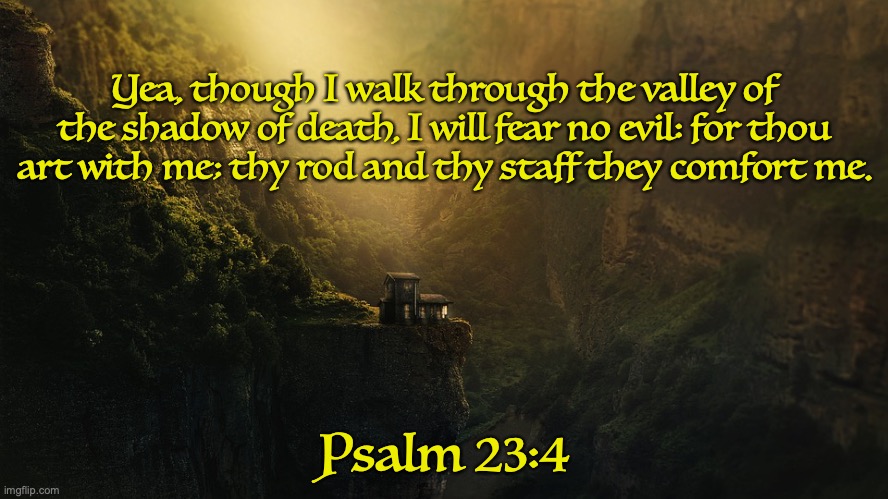 Courageous | Yea, though I walk through the valley of the shadow of death, I will fear no evil: for thou art with me; thy rod and thy staff they comfort me. Psalm 23:4 | image tagged in the good shepherd | made w/ Imgflip meme maker