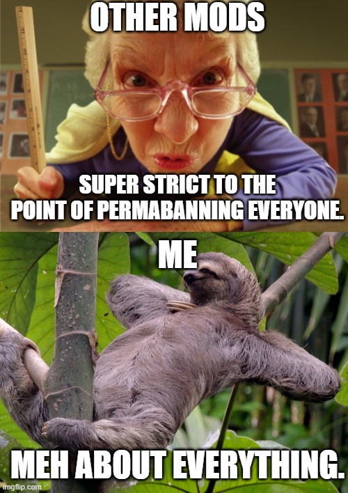 Strict vs lazy mods | OTHER MODS; SUPER STRICT TO THE POINT OF PERMABANNING EVERYONE. ME; MEH ABOUT EVERYTHING. | image tagged in strict,lazy sloth | made w/ Imgflip meme maker