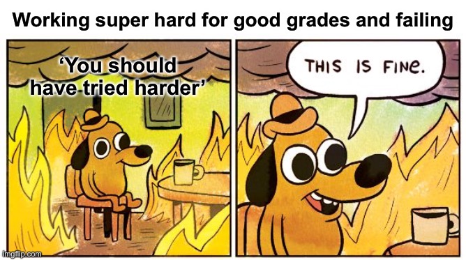 You tried your best but ‘you should have tried harder’ | Working super hard for good grades and failing; ‘You should have tried harder’ | image tagged in memes,this is fine,depression sadness hurt pain anxiety,school,adhd,grades | made w/ Imgflip meme maker