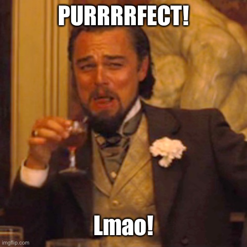 Laughing Leo Meme | PURRRRFECT! Lmao! | image tagged in memes,laughing leo | made w/ Imgflip meme maker