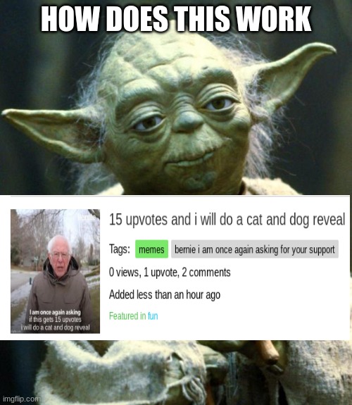 how does this work!?!? | HOW DOES THIS WORK | image tagged in memes,star wars yoda | made w/ Imgflip meme maker