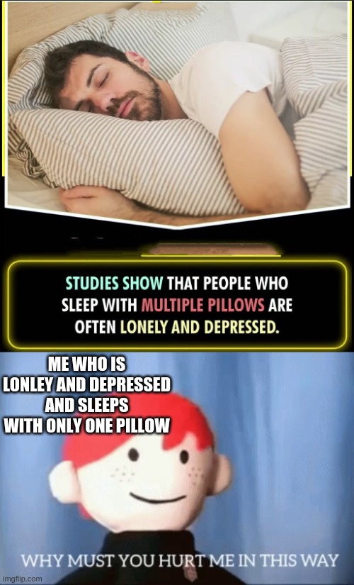ME WHO IS LONLEY AND DEPRESSED AND SLEEPS WITH ONLY ONE PILLOW | image tagged in why must you hurt me in this way | made w/ Imgflip meme maker