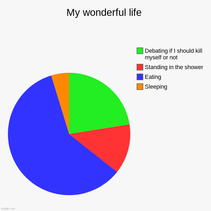 My wonderful life | Sleeping, Eating, Standing in the shower, Debating if I should kill myself or not | image tagged in charts,pie charts | made w/ Imgflip chart maker