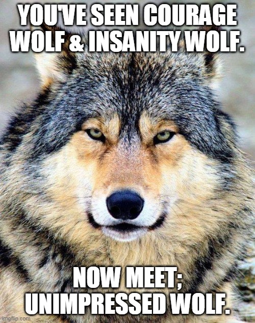 Introducing. | YOU'VE SEEN COURAGE WOLF & INSANITY WOLF. NOW MEET; UNIMPRESSED WOLF. | image tagged in unimpressed wolf | made w/ Imgflip meme maker