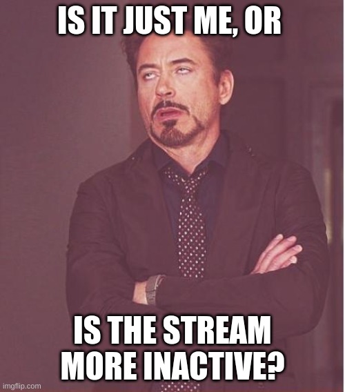 Face You Make Robert Downey Jr | IS IT JUST ME, OR; IS THE STREAM MORE INACTIVE? | image tagged in memes,face you make robert downey jr | made w/ Imgflip meme maker