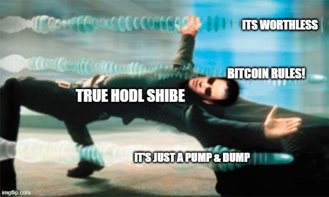 When The Haters Try To Make You Doubt | ITS WORTHLESS; BITCOIN RULES! TRUE HODL SHIBE; IT'S JUST A PUMP & DUMP | image tagged in matrix dodge | made w/ Imgflip meme maker
