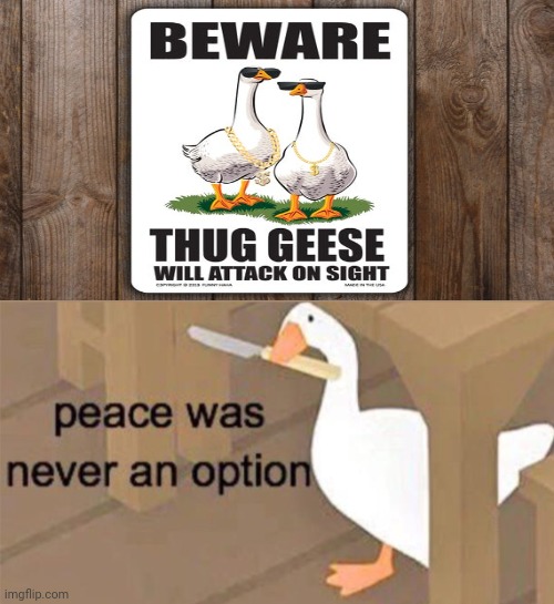 Beware: Thug Geese | image tagged in untitled goose peace was never an option,confused screaming,funny,memes,meme,funny signs | made w/ Imgflip meme maker