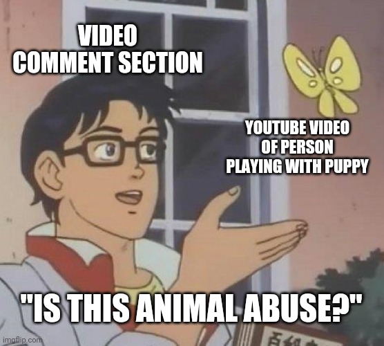 Is This A Pigeon Meme | VIDEO COMMENT SECTION; YOUTUBE VIDEO OF PERSON PLAYING WITH PUPPY; "IS THIS ANIMAL ABUSE?" | image tagged in memes,is this a pigeon,youtube,comments,abuse,animal | made w/ Imgflip meme maker