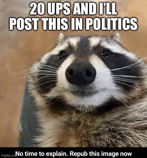 Repost | 20 UPS AND I’LL POST THIS IN POLITICS | image tagged in repost | made w/ Imgflip meme maker