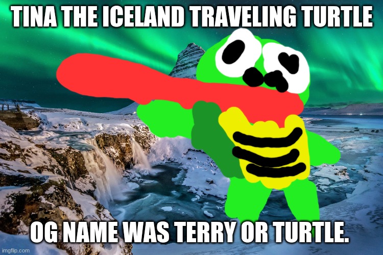 I remodeled her too since her OG design was too simple. A turtle from iceland travels around the world and rivals with some 2D w | TINA THE ICELAND TRAVELING TURTLE; OG NAME WAS TERRY OR TURTLE. | image tagged in turtle,iceland | made w/ Imgflip meme maker