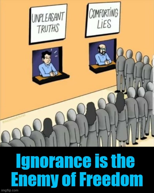 Facts vs Feelings | Ignorance is the 
Enemy of Freedom | image tagged in political meme,conservatives vs liberals | made w/ Imgflip meme maker