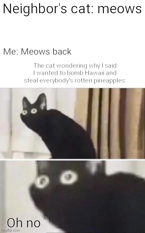 Oh no | Neighbor's cat: meows; Me: Meows back; The cat wondering why I said I wanted to bomb Hawaii and steal everybody's rotten pineapples:; Oh no | image tagged in oh no black cat | made w/ Imgflip meme maker