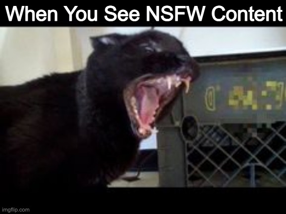 Sylvester the talking kitty cat | When You See NSFW Content | image tagged in sylvester the talking kitty cat | made w/ Imgflip meme maker