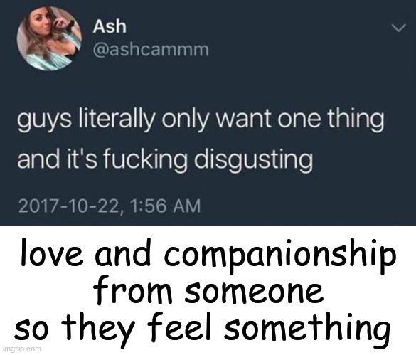 im sereious | love and companionship from someone so they feel something | image tagged in guys only want one thing | made w/ Imgflip meme maker
