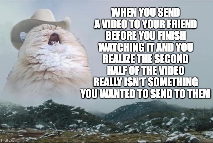 This is why you watch the entire video, fellas |  WHEN YOU SEND A VIDEO TO YOUR FRIEND BEFORE YOU FINISH WATCHING IT AND YOU REALIZE THE SECOND HALF OF THE VIDEO REALLY ISN'T SOMETHING YOU WANTED TO SEND TO THEM | image tagged in screaming cowboy cat | made w/ Imgflip meme maker