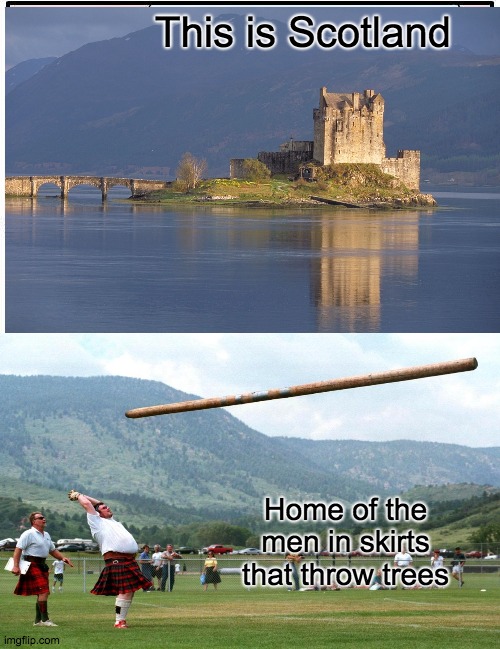 Scotland... | This is Scotland; Home of the men in skirts that throw trees | image tagged in funny | made w/ Imgflip meme maker
