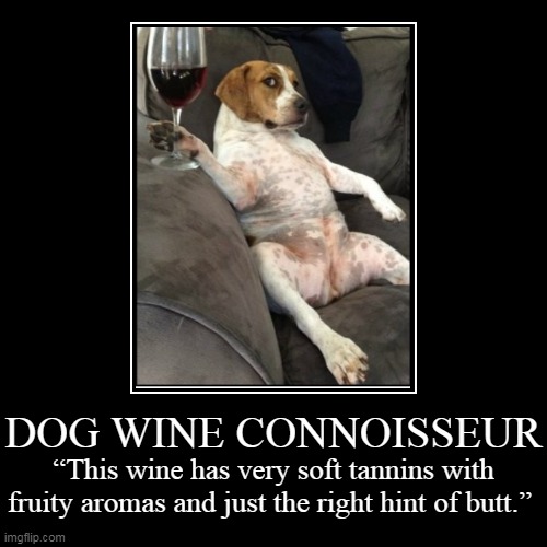 Dog Wine Connoisseur | image tagged in funny,demotivationals,dog,wine,dogs,connoisseur | made w/ Imgflip demotivational maker